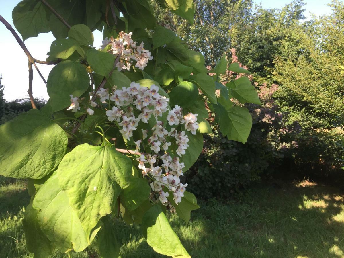 Gite Climatise De La Haute Rue Touvois Exteriér fotografie